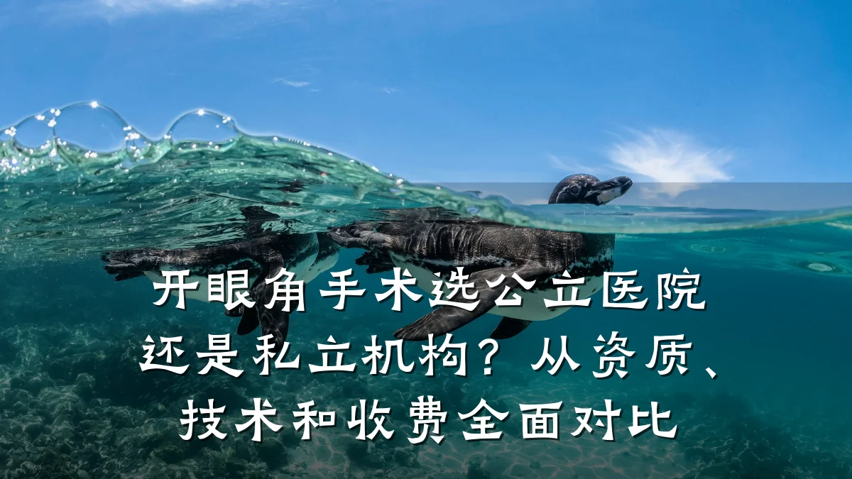 开眼角手术选公立医院还是私立机构？从资质、技术和收费全面对比