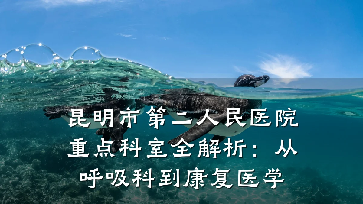 昆明市第二人民医院重点科室全解析:从呼吸科到康复医学
