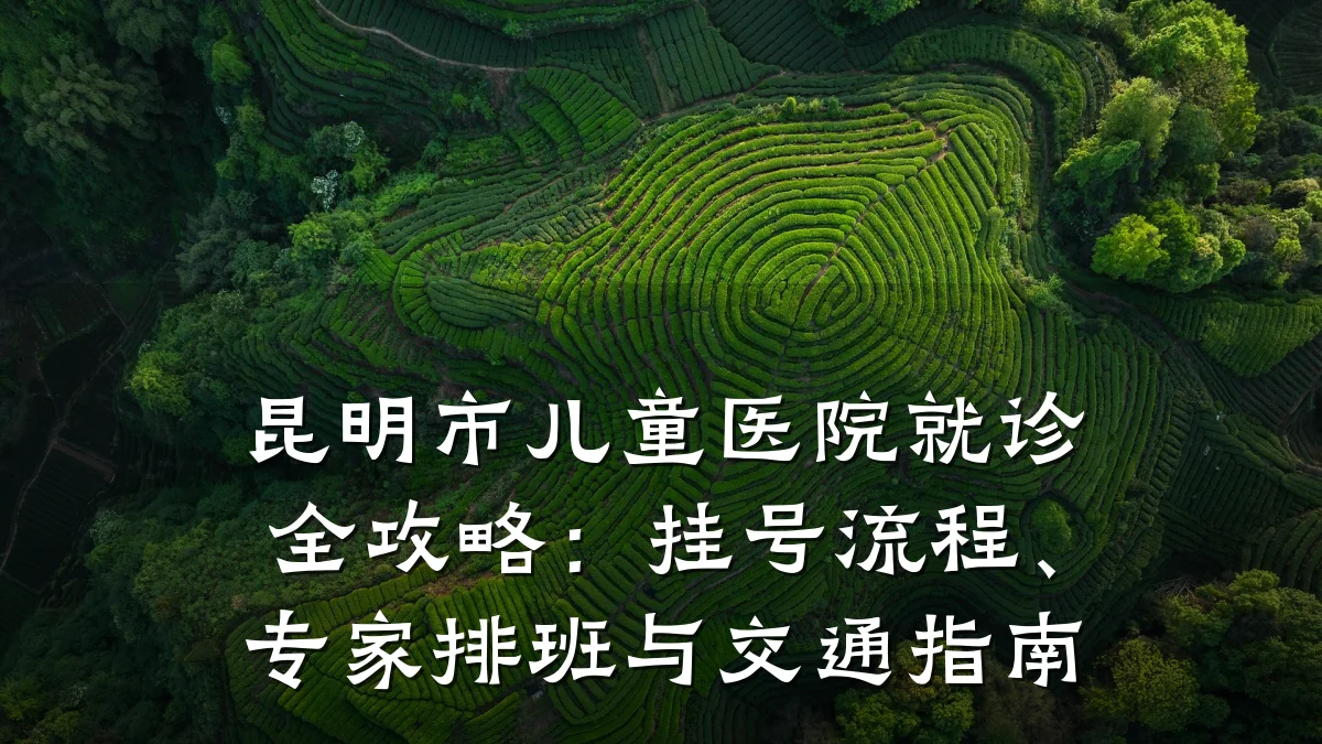 昆明市儿童医院就诊全攻略:挂号流程、专家排班与交通指南