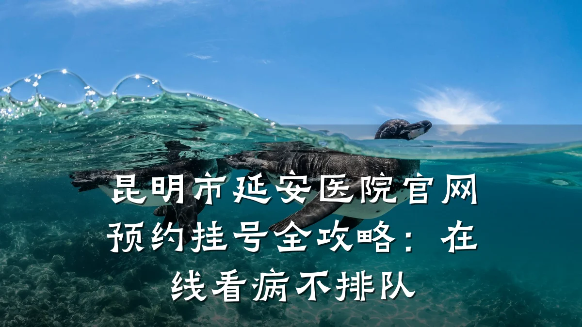 昆明市延安医院官网预约挂号全攻略：在线看病不排队
