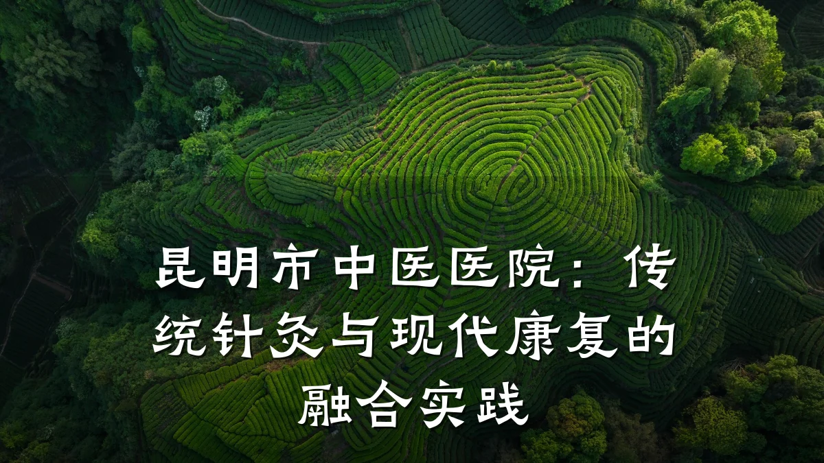 昆明市中医医院:传统针灸与现代康复的融合实践