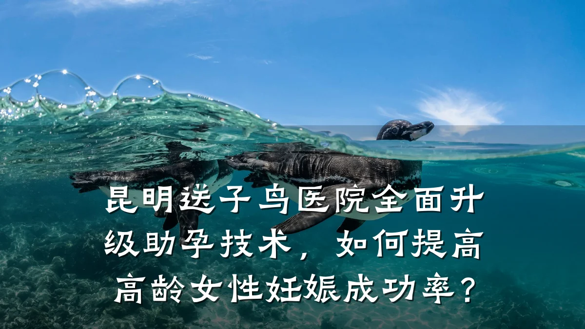 昆明送子鸟医院全面升级助孕技术,如何提高高龄女性妊娠成功率?