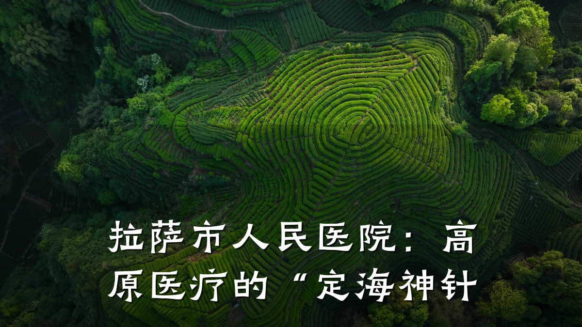 拉萨市人民医院:高原医疗的“定海神针