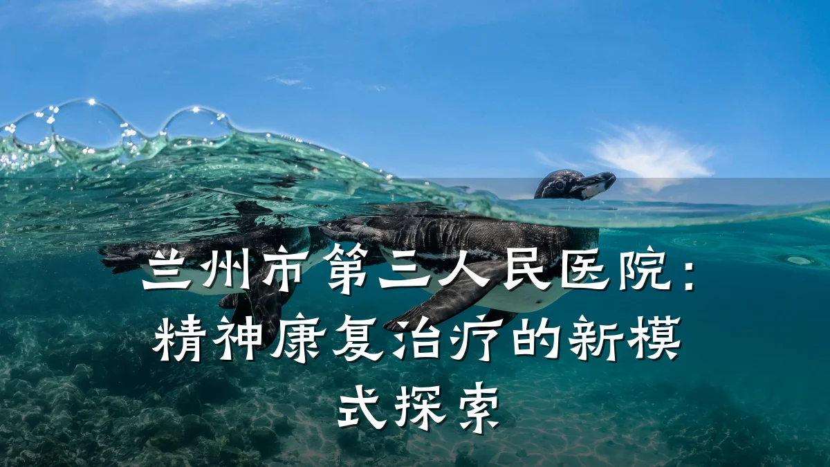 兰州市第三人民医院:精神康复治疗的新模式探索