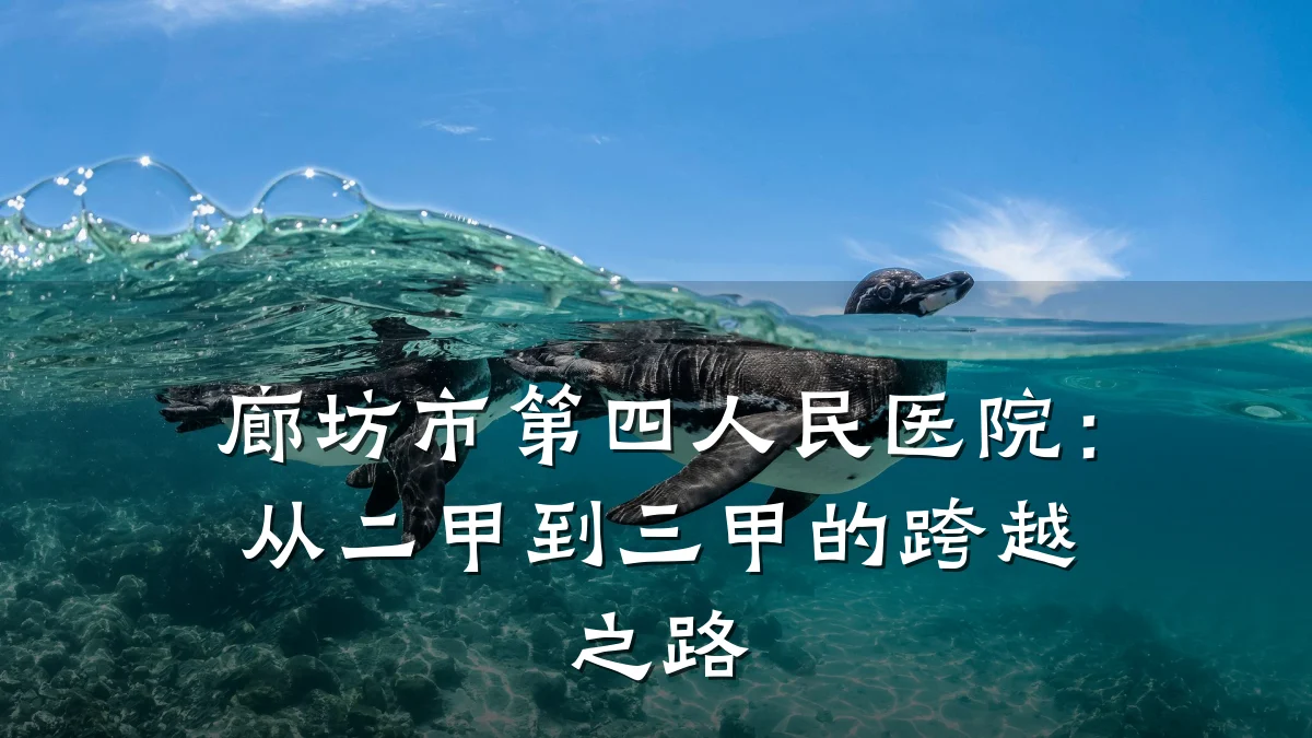 廊坊市第四人民医院:从二甲到三甲的跨越之路