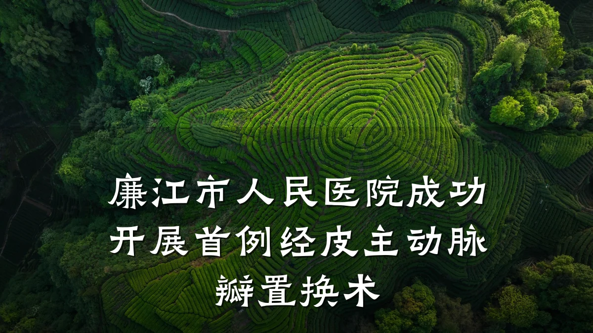 廉江市人民医院成功开展首例经皮主动脉瓣置换术