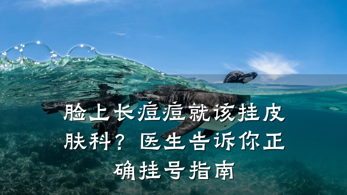 脸上长痘痘就该挂皮肤科?医生告诉你正确挂号指南