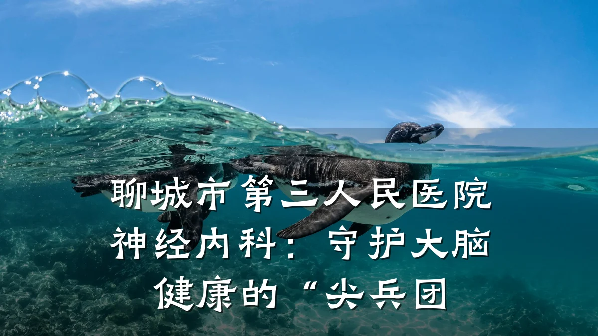 聊城市第三人民医院神经内科:守护大脑健康的“尖兵团