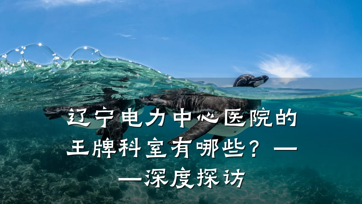辽宁电力中心医院的王牌科室有哪些?——深度探访