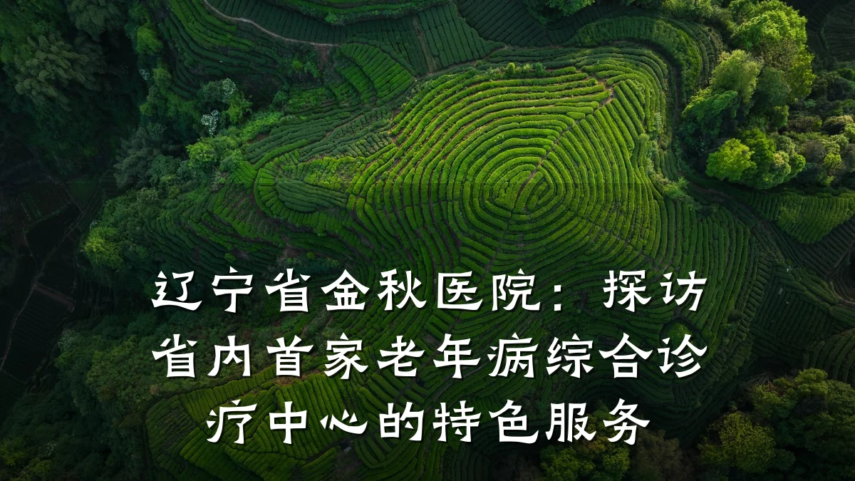 辽宁省金秋医院:探访省内首家老年病综合诊疗中心的特色服务