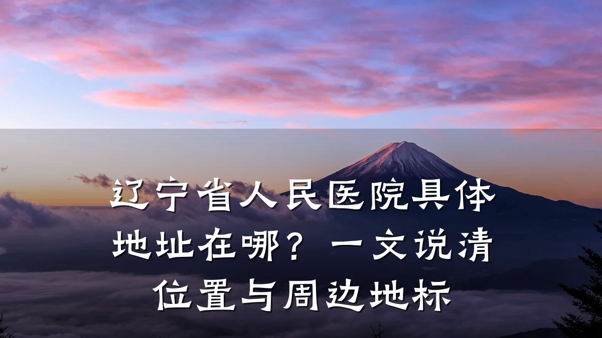 辽宁省人民医院具体地址在哪？一文说清位置与周边地标