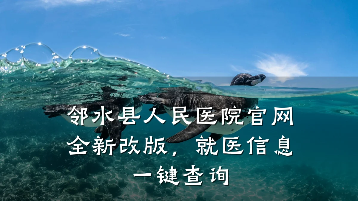 邻水县人民医院官网全新改版,就医信息一键查询
