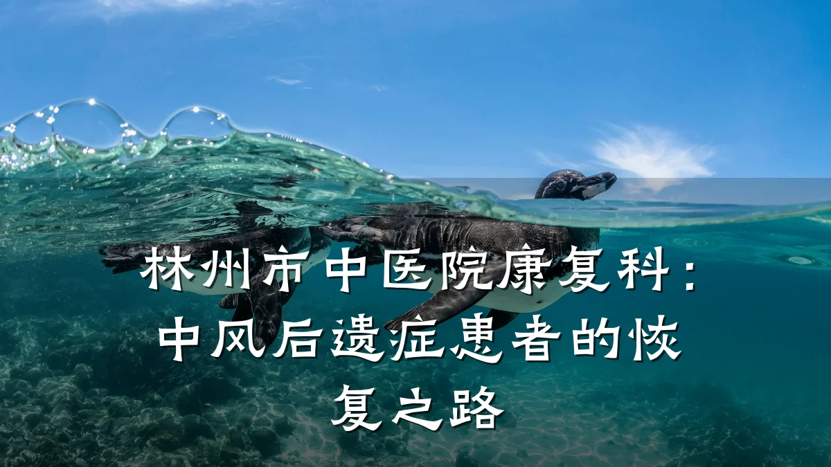 林州市中医院康复科:中风后遗症患者的恢复之路