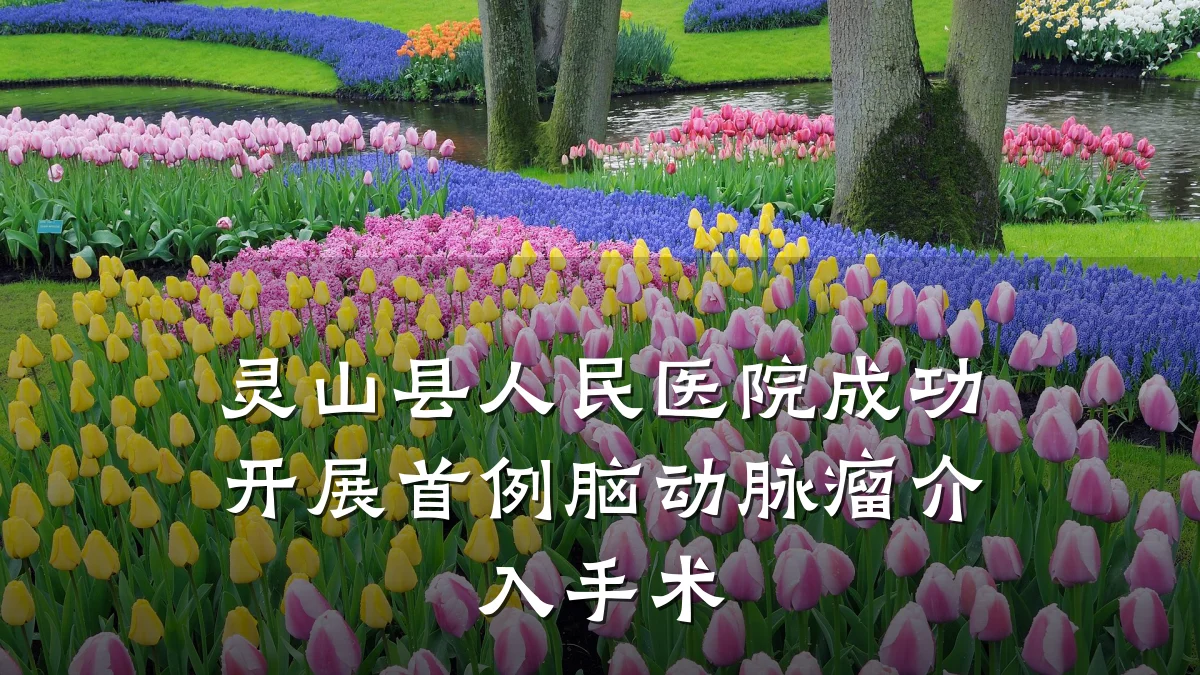 灵山县人民医院成功开展首例脑动脉瘤介入手术