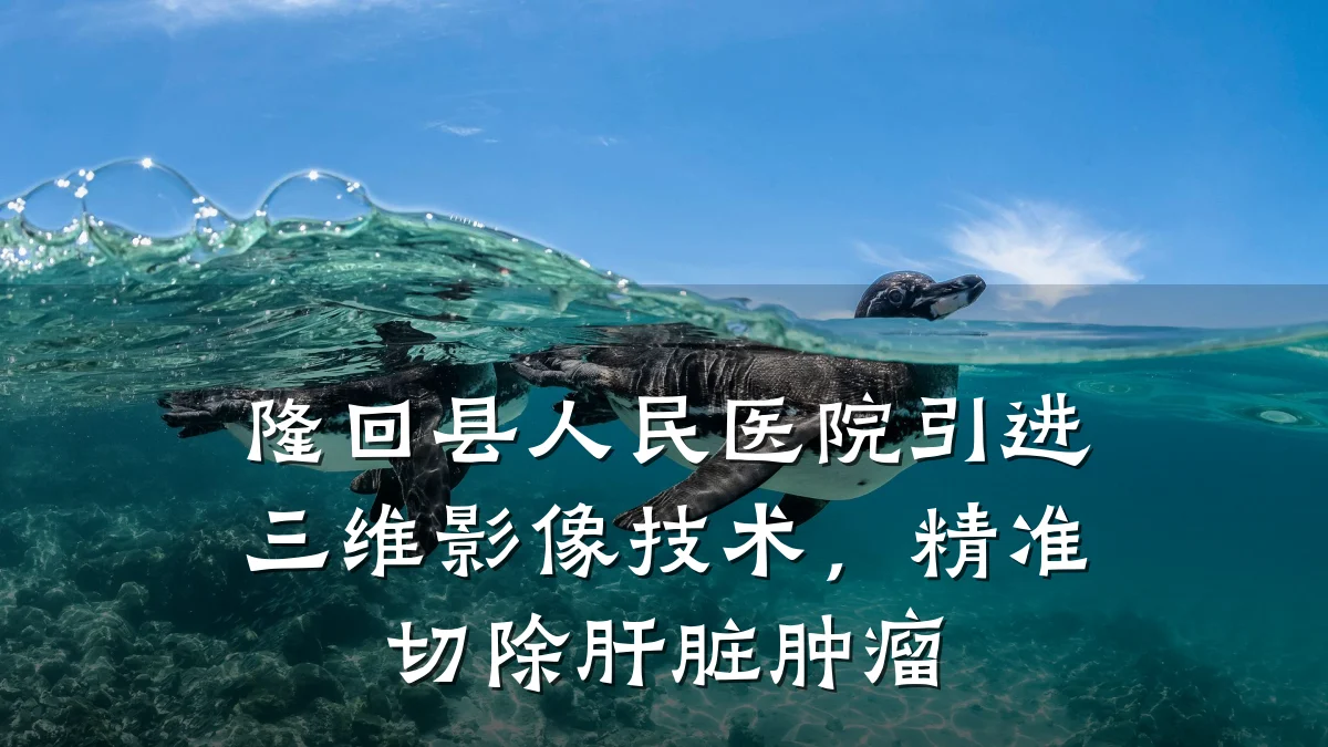 隆回县人民医院引进三维影像技术,精准切除肝脏肿瘤