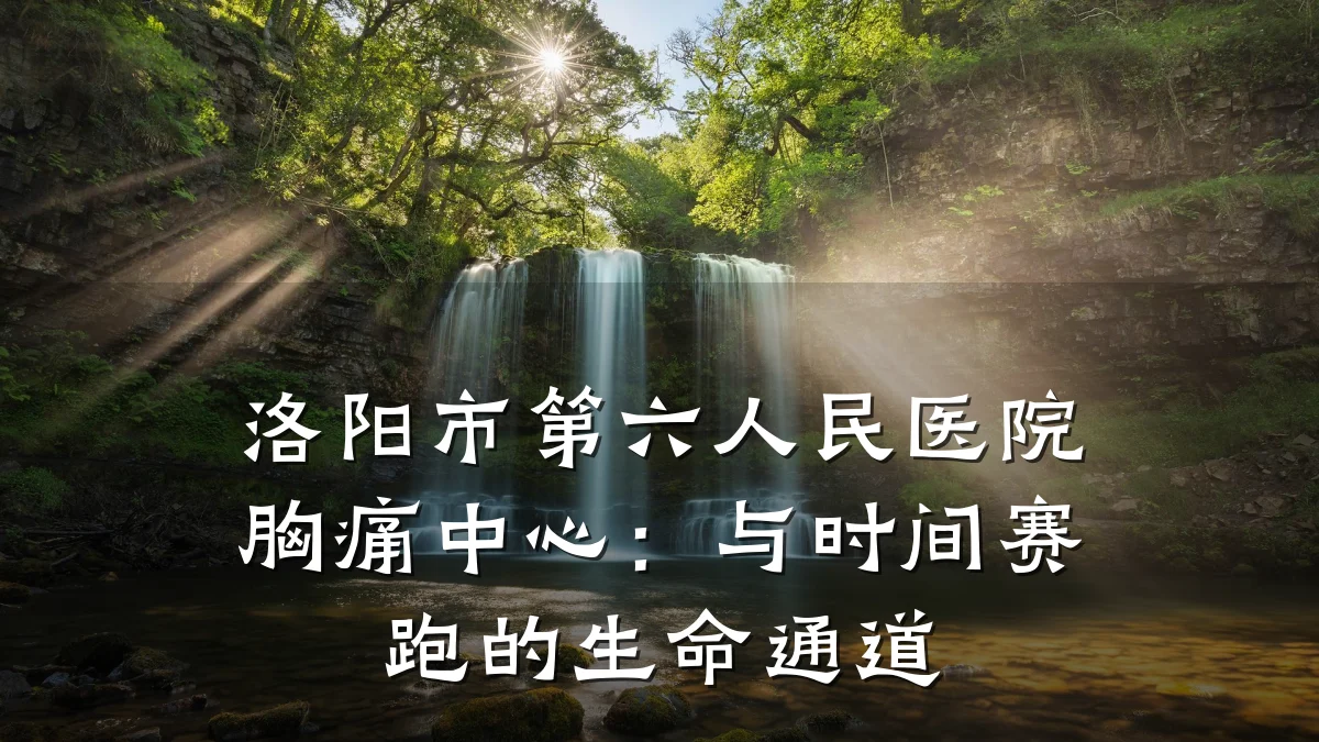 洛阳市第六人民医院胸痛中心:与时间赛跑的生命通道