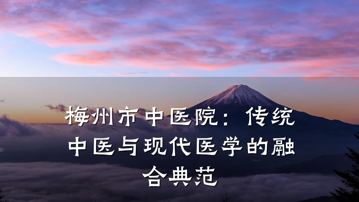 梅州市中医院:传统中医与现代医学的融合典范