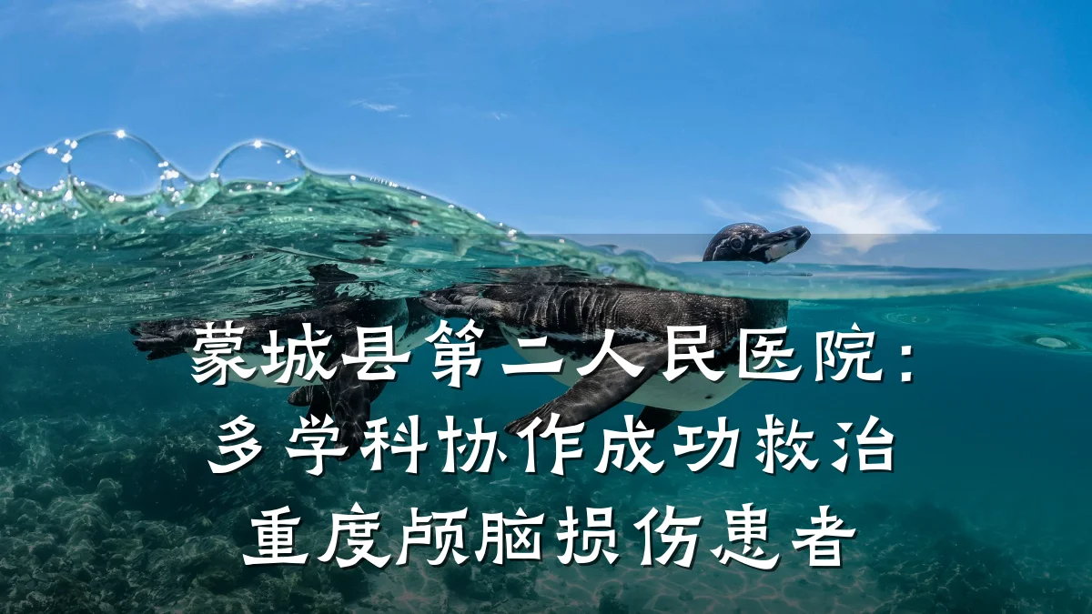 蒙城县第二人民医院:多学科协作成功救治重度颅脑损伤患者