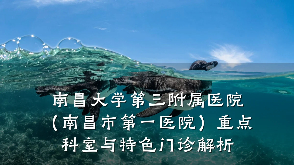 南昌大学第三附属医院（南昌市第一医院）重点科室与特色门诊解析