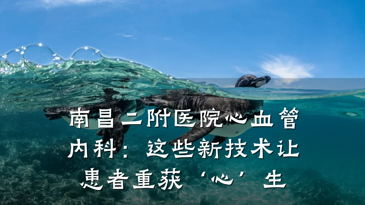 南昌二附医院心血管内科：这些新技术让患者重获‘心’生
