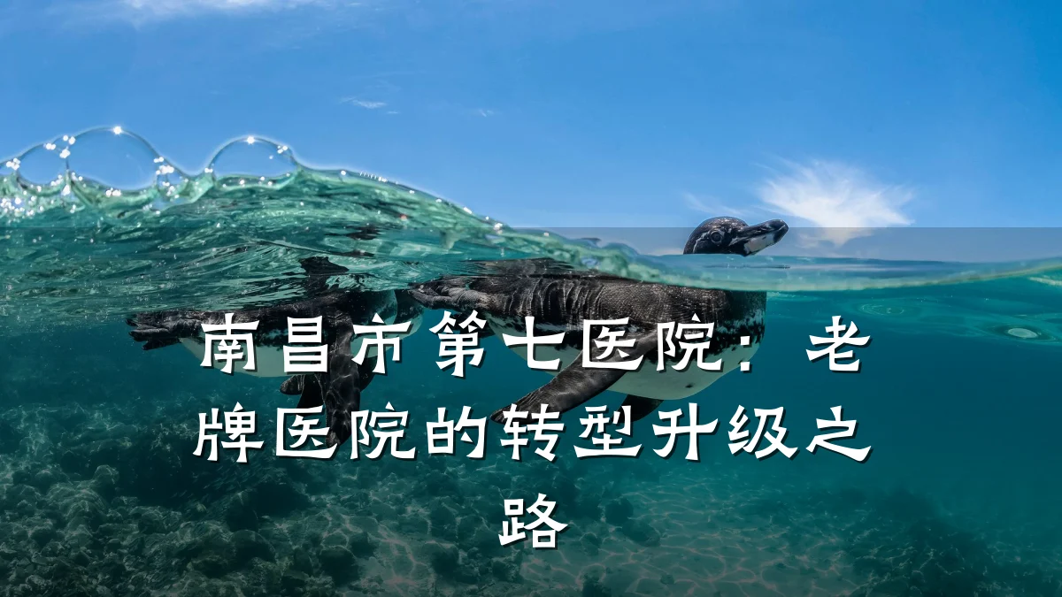 南昌市第七医院:老牌医院的转型升级之路