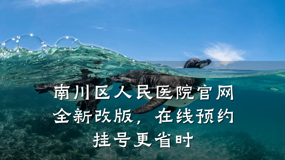 南川区人民医院官网全新改版，在线预约挂号更省时