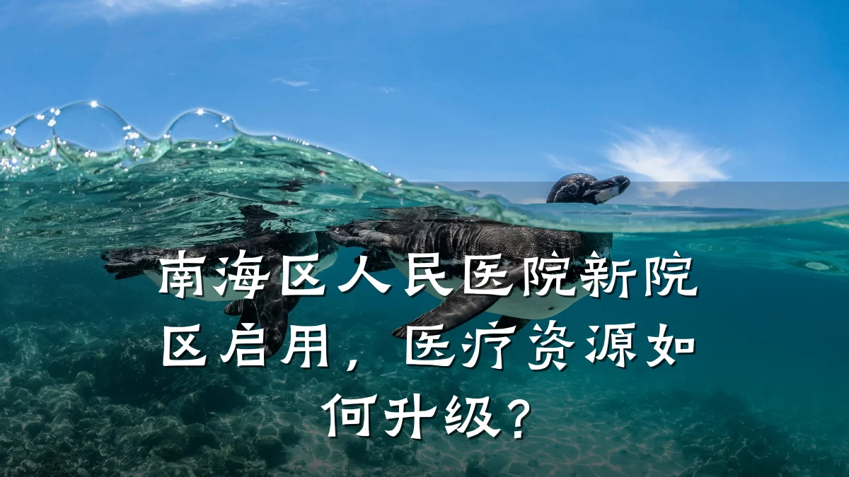 南海区人民医院新院区启用,医疗资源如何升级?