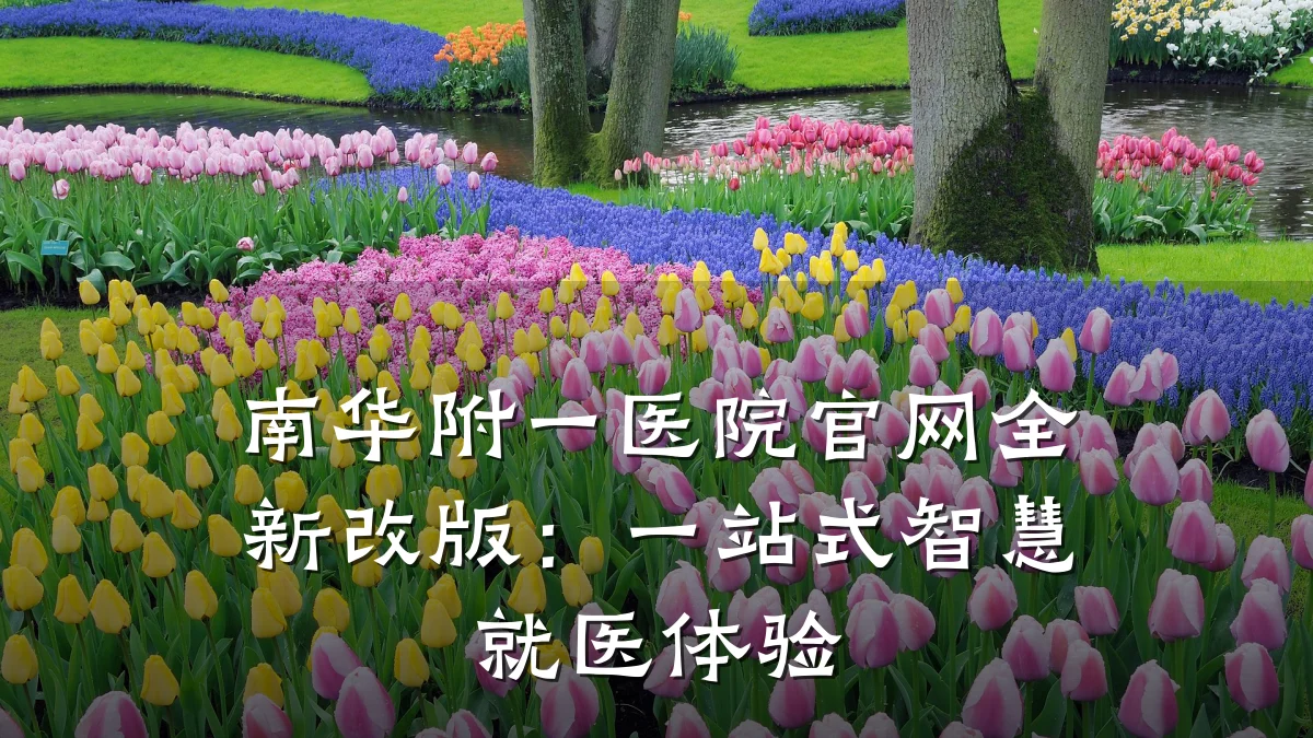南华附一医院官网全新改版:一站式智慧就医体验
