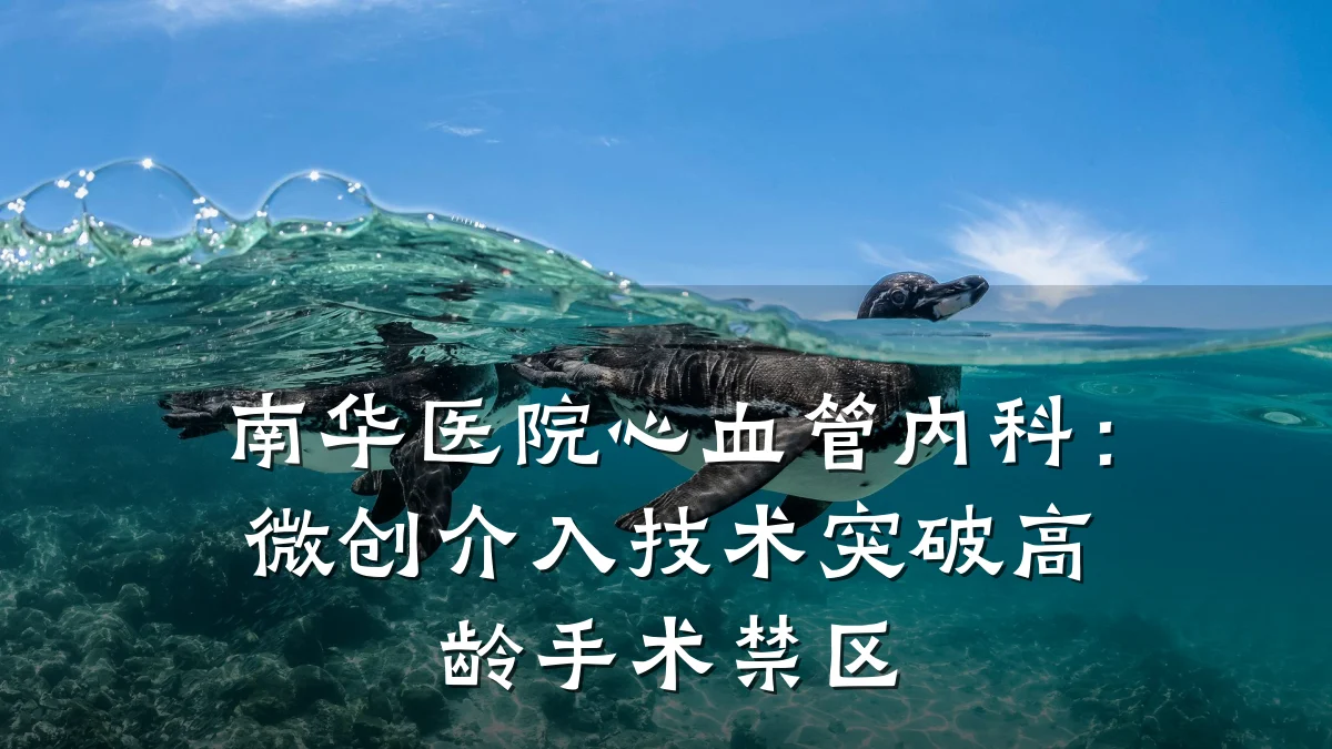 南华医院心血管内科:微创介入技术突破高龄手术禁区
