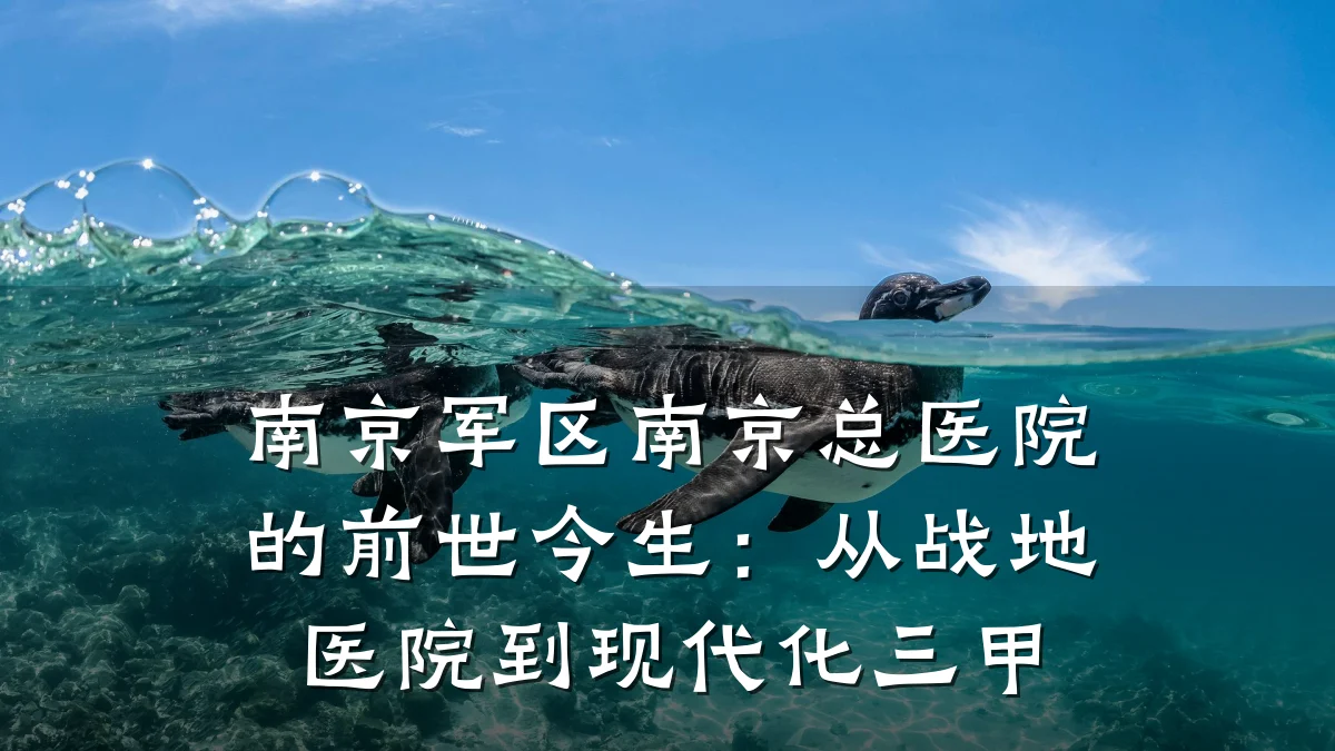 南京军区南京总医院的前世今生：从战地医院到现代化三甲