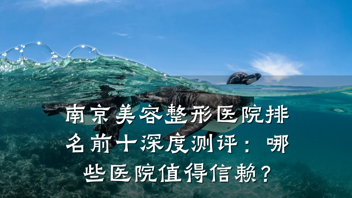 南京美容整形医院排名前十深度测评:哪些医院值得信赖?