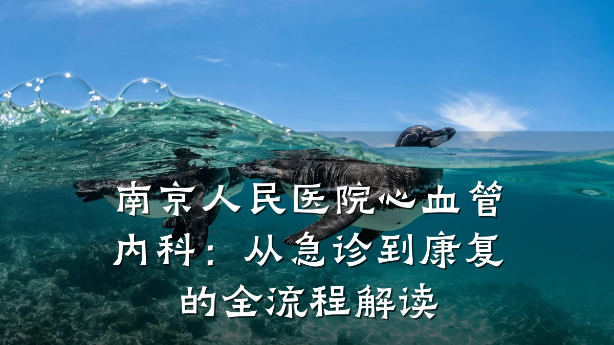 南京人民医院心血管内科：从急诊到康复的全流程解读