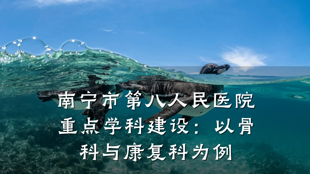 南宁市第八人民医院重点学科建设:以骨科与康复科为例