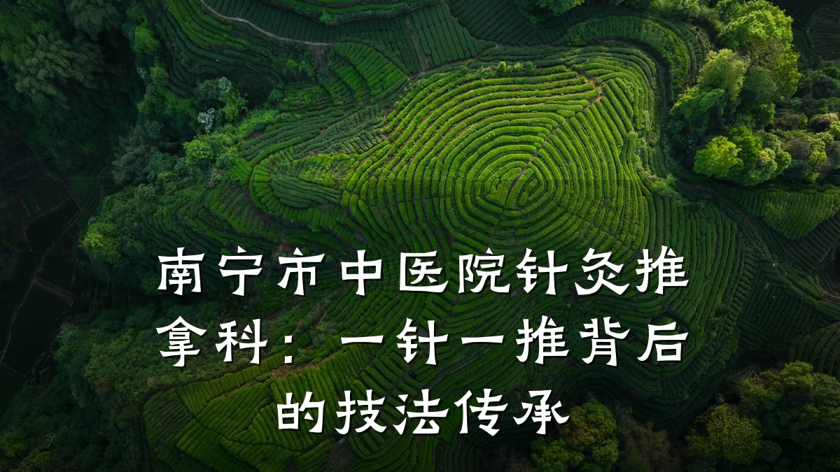 南宁市中医院针灸推拿科：一针一推背后的技法传承