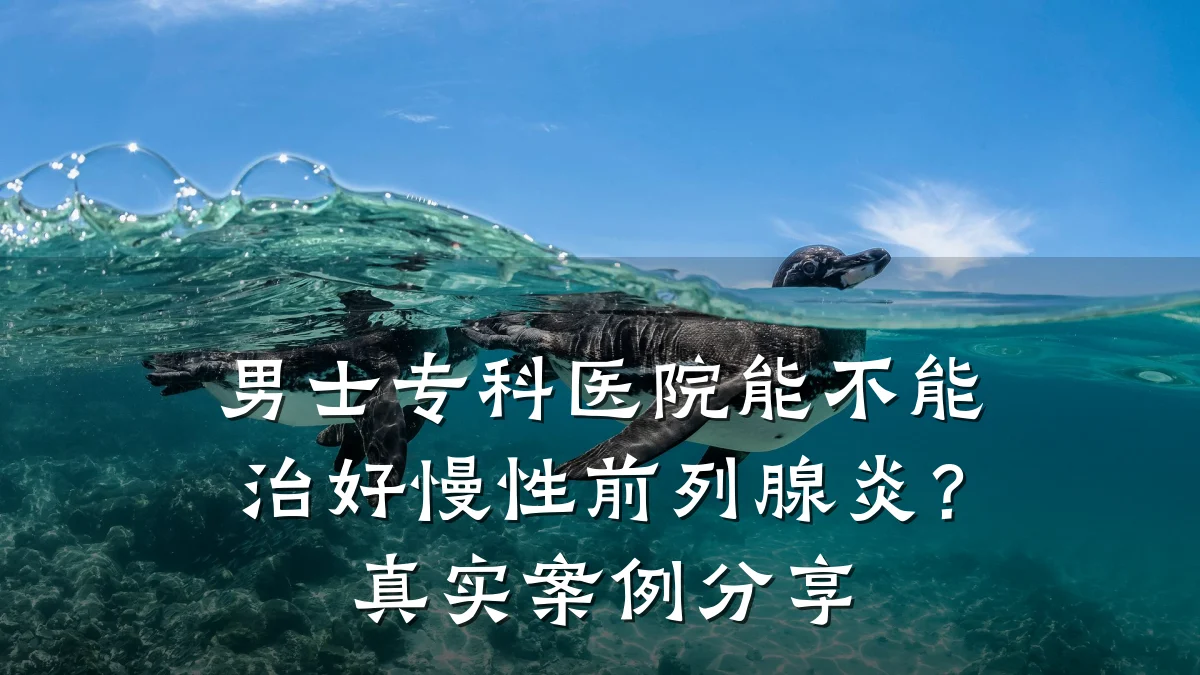 男士专科医院能不能治好慢性前列腺炎?真实案例分享