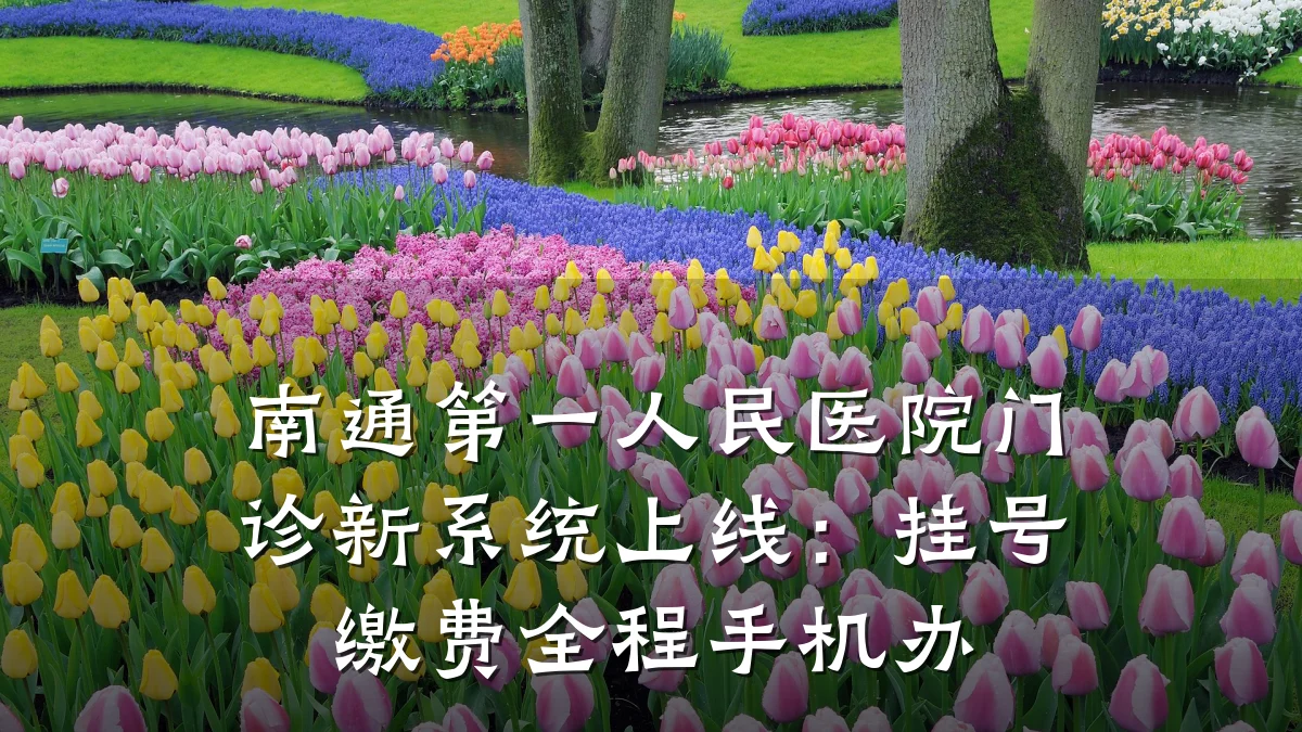 南通第一人民医院门诊新系统上线:挂号缴费全程手机办