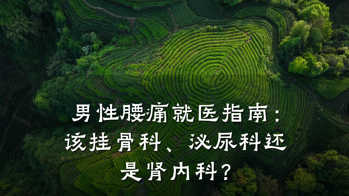 男性腰痛就医指南：该挂骨科、泌尿科还是肾内科？