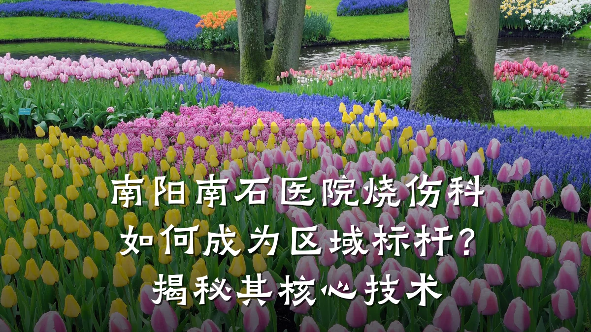 南阳南石医院烧伤科如何成为区域标杆?揭秘其核心技术