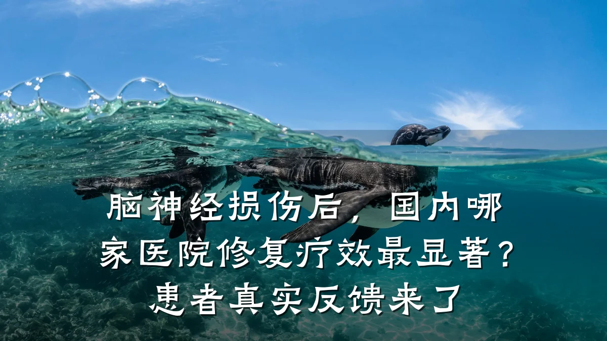 脑神经损伤后,国内哪家医院修复疗效最显著?患者真实反馈来了