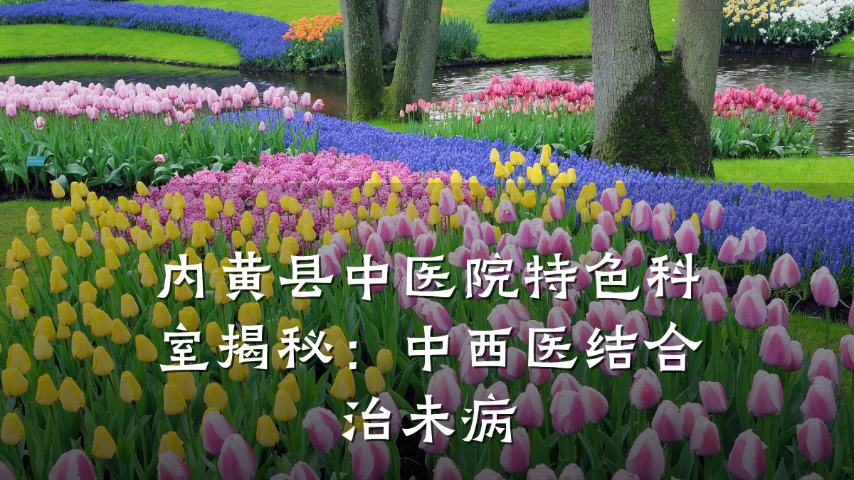 内黄县中医院特色科室揭秘:中西医结合治未病