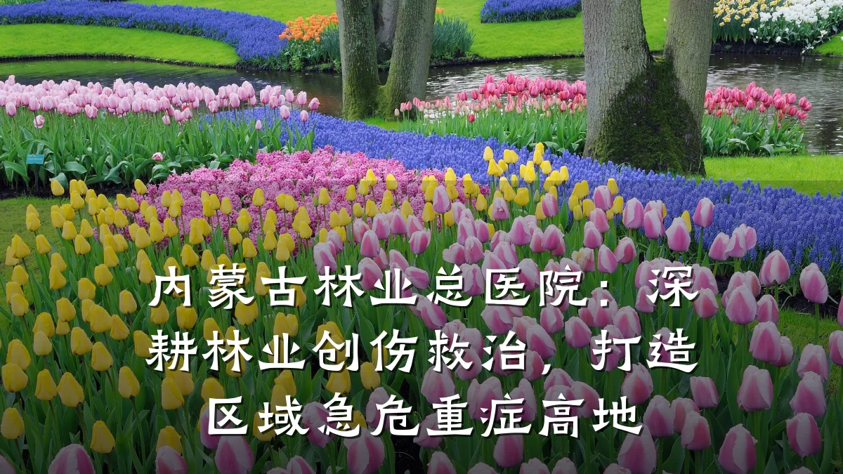 内蒙古林业总医院:深耕林业创伤救治,打造区域急危重症高地