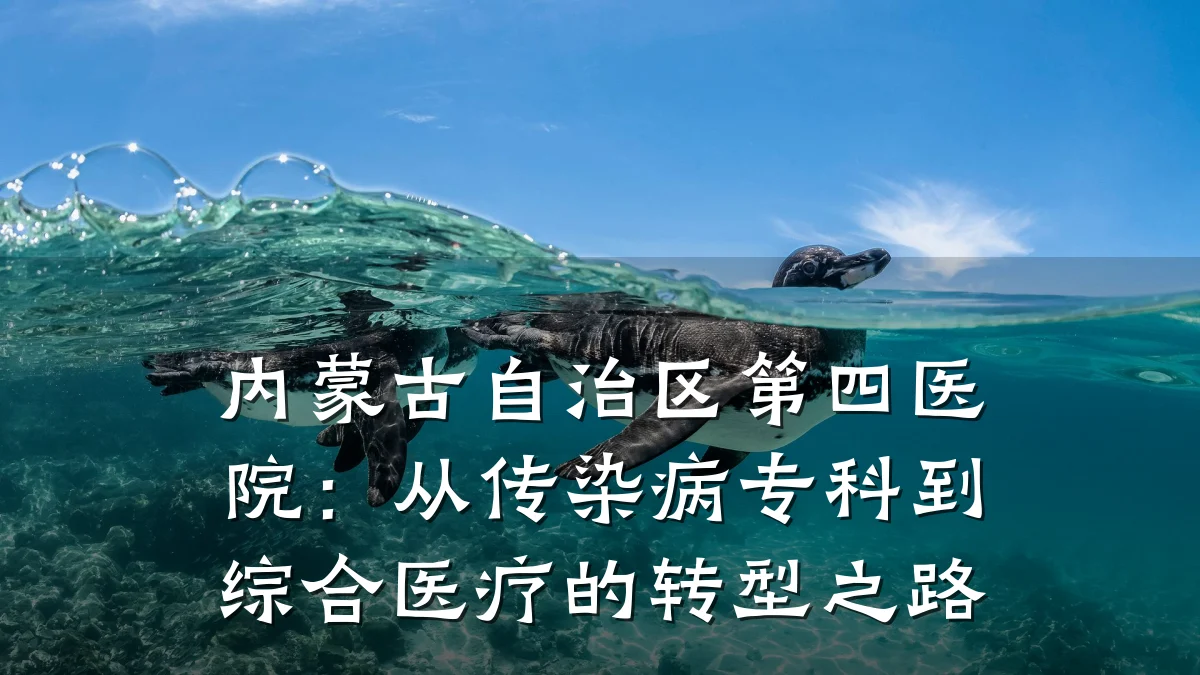 内蒙古自治区第四医院:从传染病专科到综合医疗的转型之路