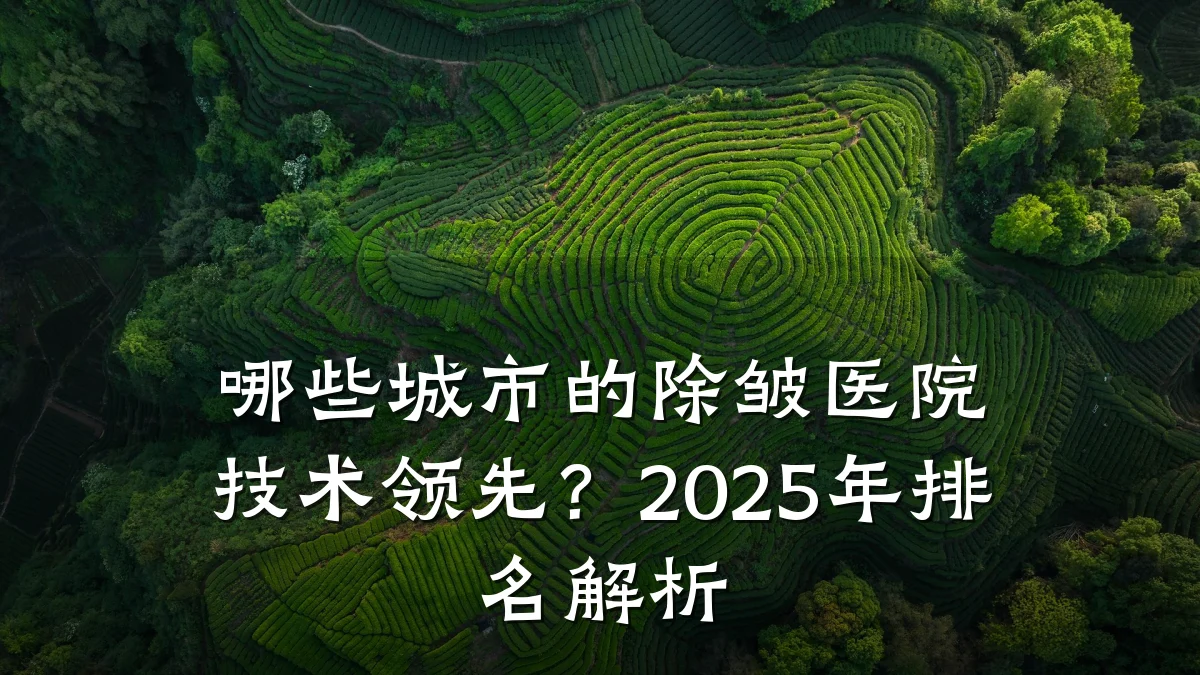 哪些城市的除皱医院技术领先?2025年排名解析