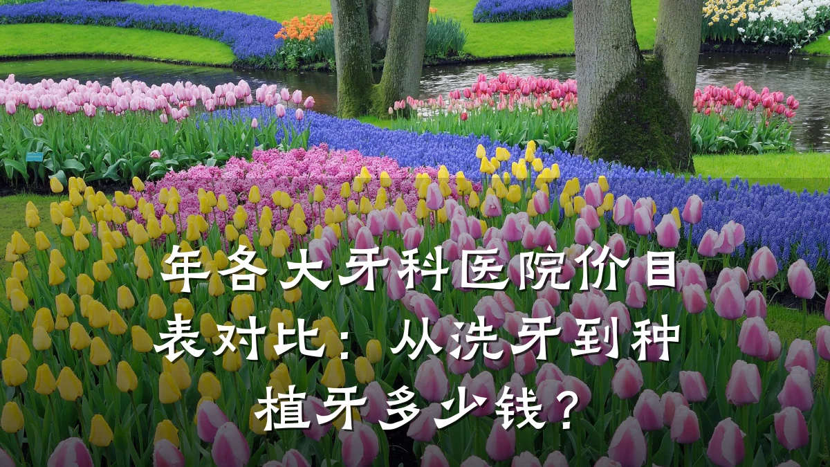 年各大牙科医院价目表对比:从洗牙到种植牙多少钱?