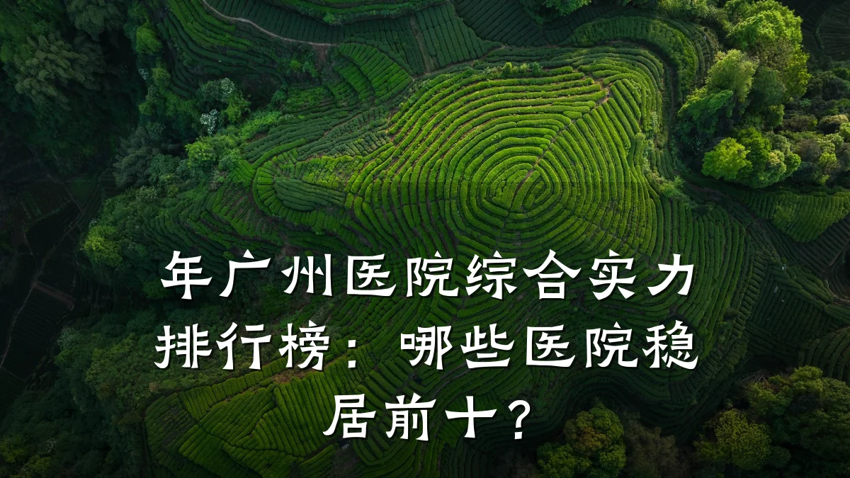 年广州医院综合实力排行榜:哪些医院稳居前十?