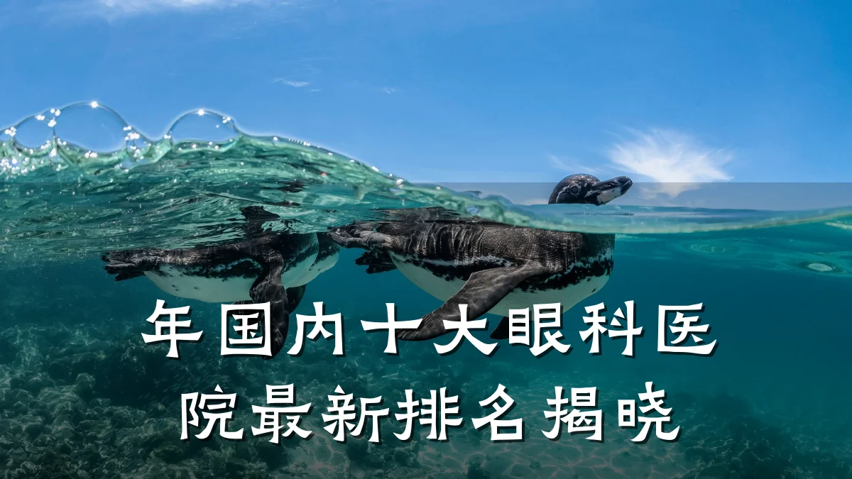 年国内十大眼科医院最新排名揭晓