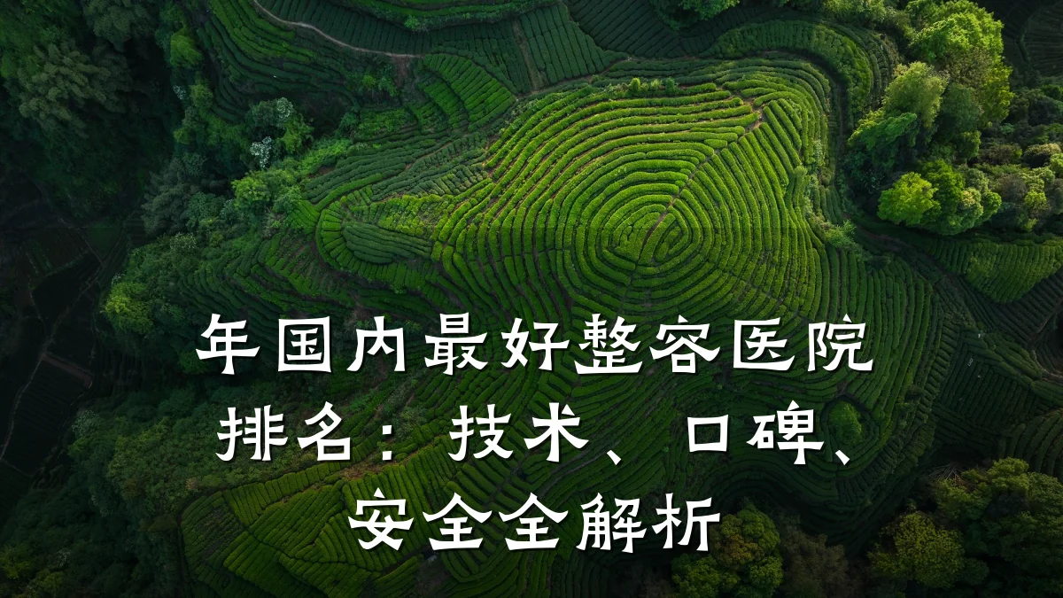 年国内最好整容医院排名:技术、口碑、安全全解析