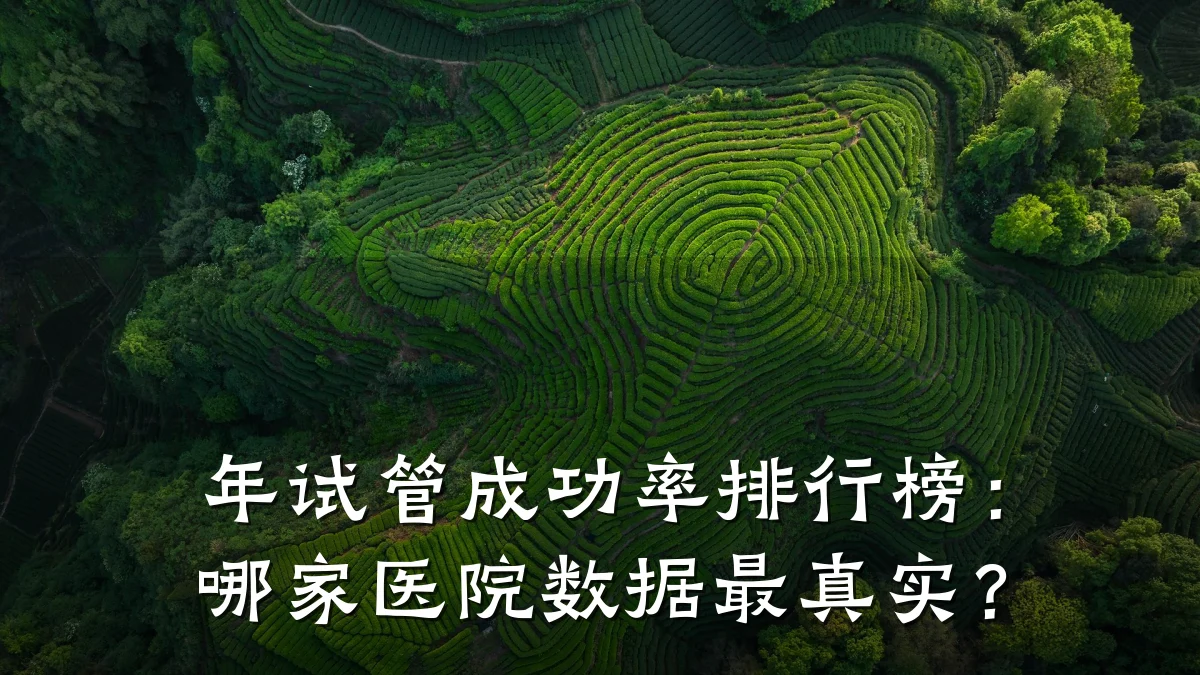 年试管成功率排行榜:哪家医院数据最真实?