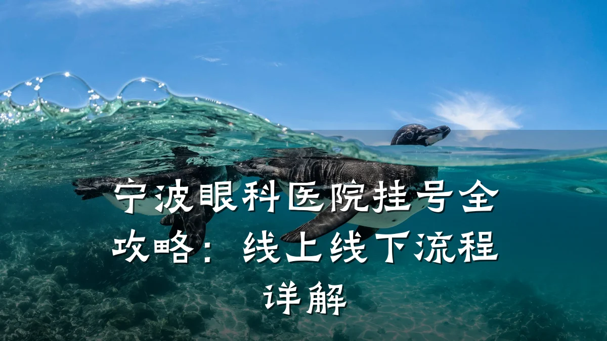 宁波眼科医院挂号全攻略:线上线下流程详解