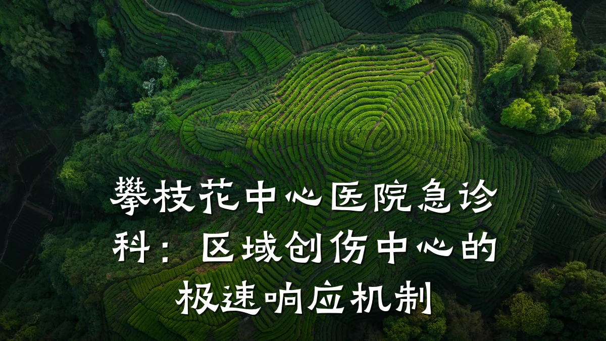 攀枝花中心医院急诊科:区域创伤中心的极速响应机制